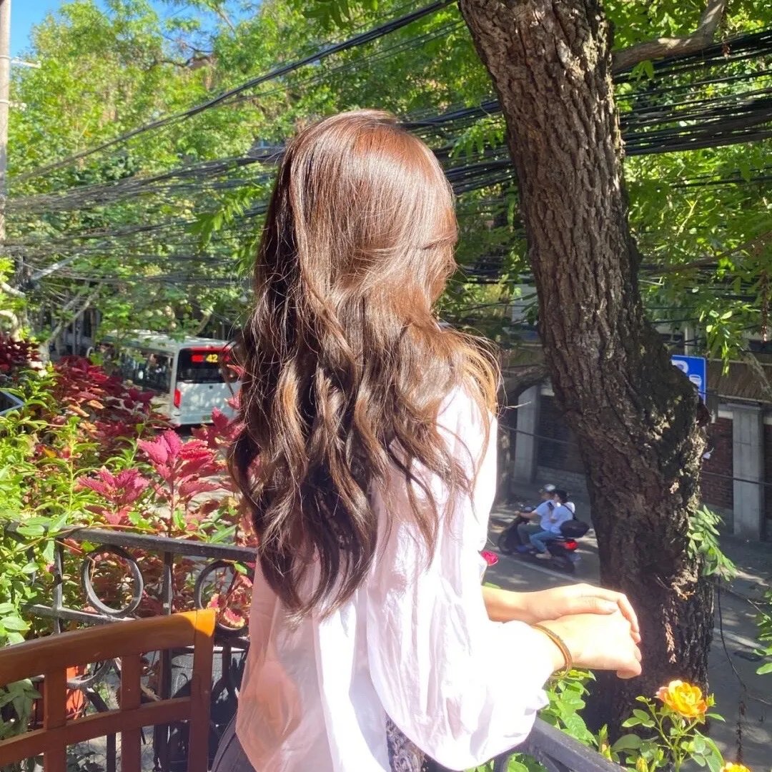 森林泰山2